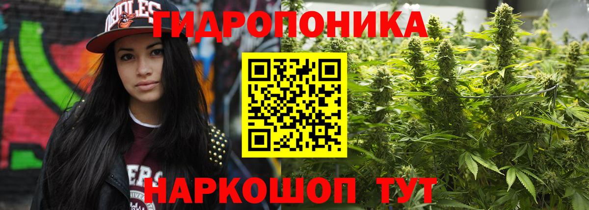 Конопля сатива Бердск